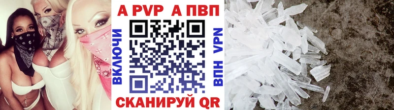 мориарти телеграм  Лангепас  A PVP СК 