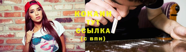 спайс Алексин