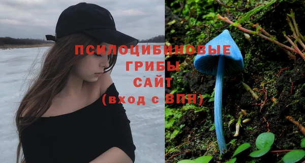спайс Алексин