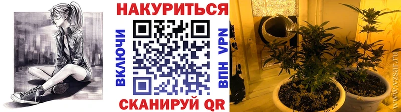 Бошки Шишки ГИДРОПОН Лангепас